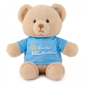 Gund I'm The Big Brother Bear Blue 12 IN, Gund USA | OH198639Q6