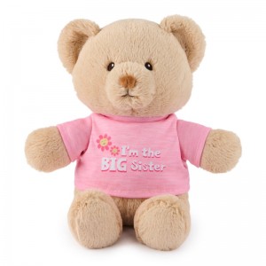 Gund I'm The Big Sister Bear Pink 12 IN, Gund USA | VN928852I7