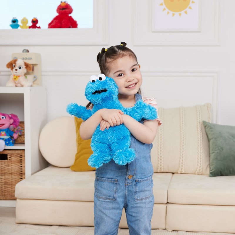 Gund Cookie Monster 12 IN, Gund USA | HI196669Q9