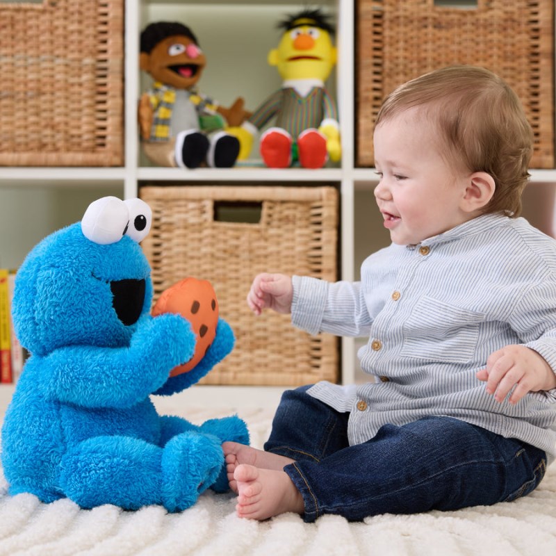 Gund Peek-a-boo Cookie Monster 11 IN, Gund USA | QW552505O9