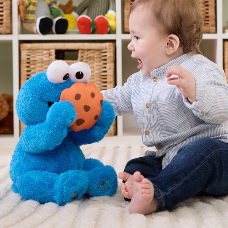 Gund Peek-a-boo Cookie Monster 11 IN, Gund USA | QW552505O9